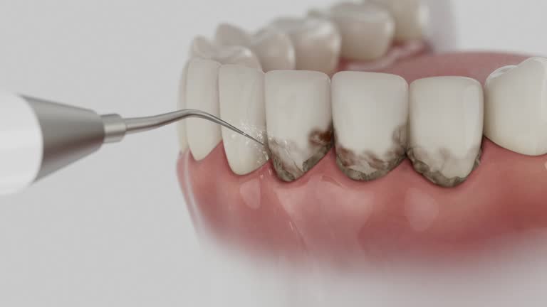 Reliable Dental contractor in Columbia County County, GA by Dentist Open Now